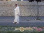infiorata (77)